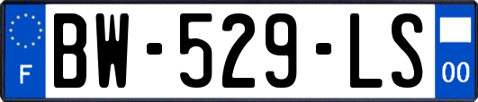 BW-529-LS