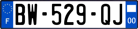 BW-529-QJ