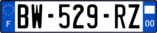 BW-529-RZ