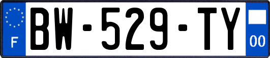BW-529-TY