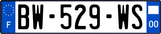 BW-529-WS