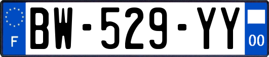 BW-529-YY
