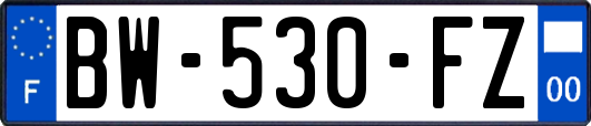 BW-530-FZ