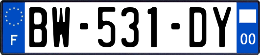 BW-531-DY