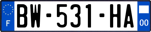 BW-531-HA