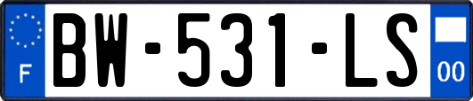 BW-531-LS
