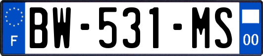 BW-531-MS