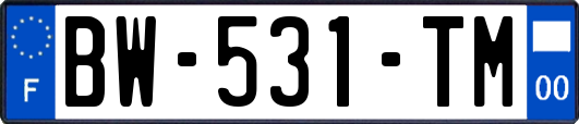 BW-531-TM