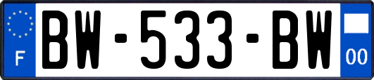 BW-533-BW