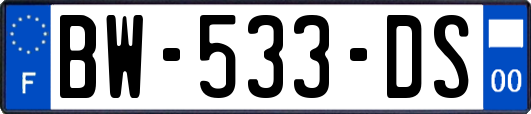 BW-533-DS