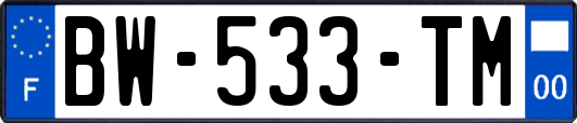 BW-533-TM