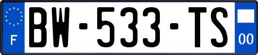 BW-533-TS