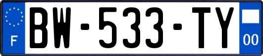 BW-533-TY