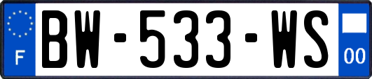 BW-533-WS