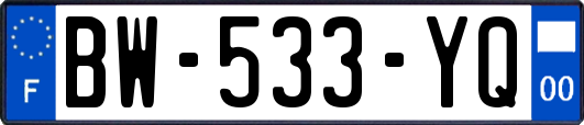 BW-533-YQ
