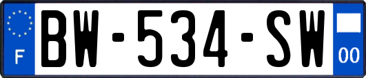 BW-534-SW