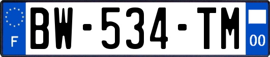 BW-534-TM