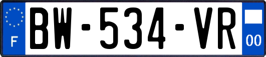 BW-534-VR