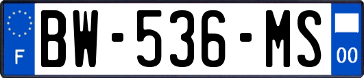BW-536-MS