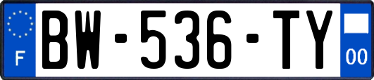 BW-536-TY