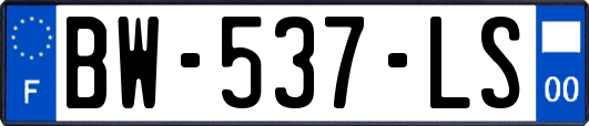 BW-537-LS