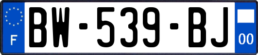 BW-539-BJ