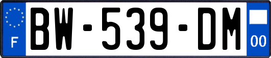 BW-539-DM
