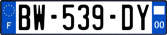 BW-539-DY