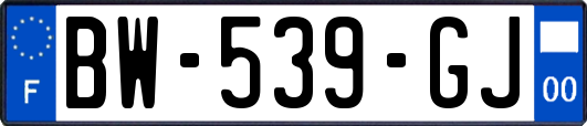 BW-539-GJ