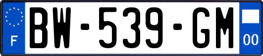 BW-539-GM