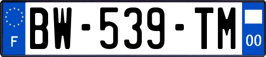 BW-539-TM