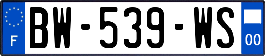 BW-539-WS