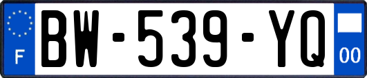 BW-539-YQ