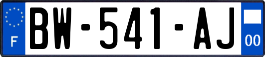 BW-541-AJ