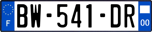 BW-541-DR