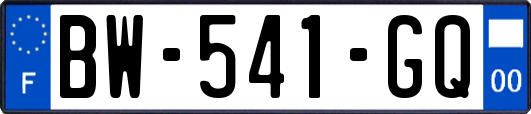 BW-541-GQ