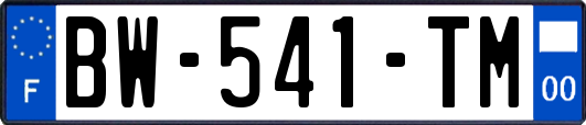 BW-541-TM
