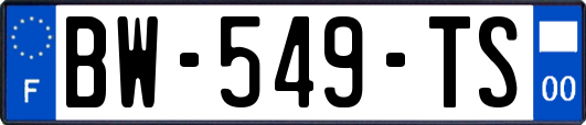 BW-549-TS