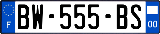 BW-555-BS