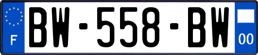 BW-558-BW