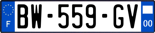 BW-559-GV