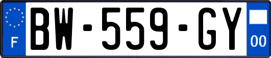 BW-559-GY