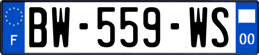 BW-559-WS