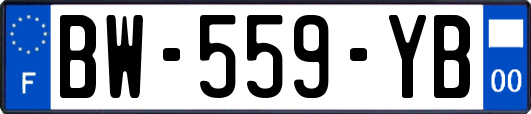 BW-559-YB