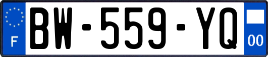 BW-559-YQ