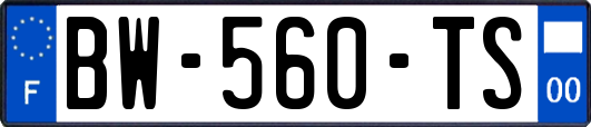 BW-560-TS