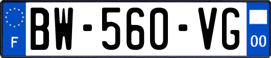 BW-560-VG