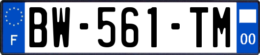 BW-561-TM