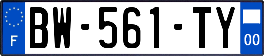 BW-561-TY