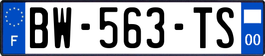 BW-563-TS